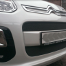 Защита радиатора "Standart" Citroen C3 Picasso (2012-2016) чёрная купить недорого с доставкой в Чита