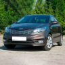 Накладка на решетку радиатора O10мм (НПС) KIA Rio (2015-2017 г.в.) купить недорого с доставкой в Чита